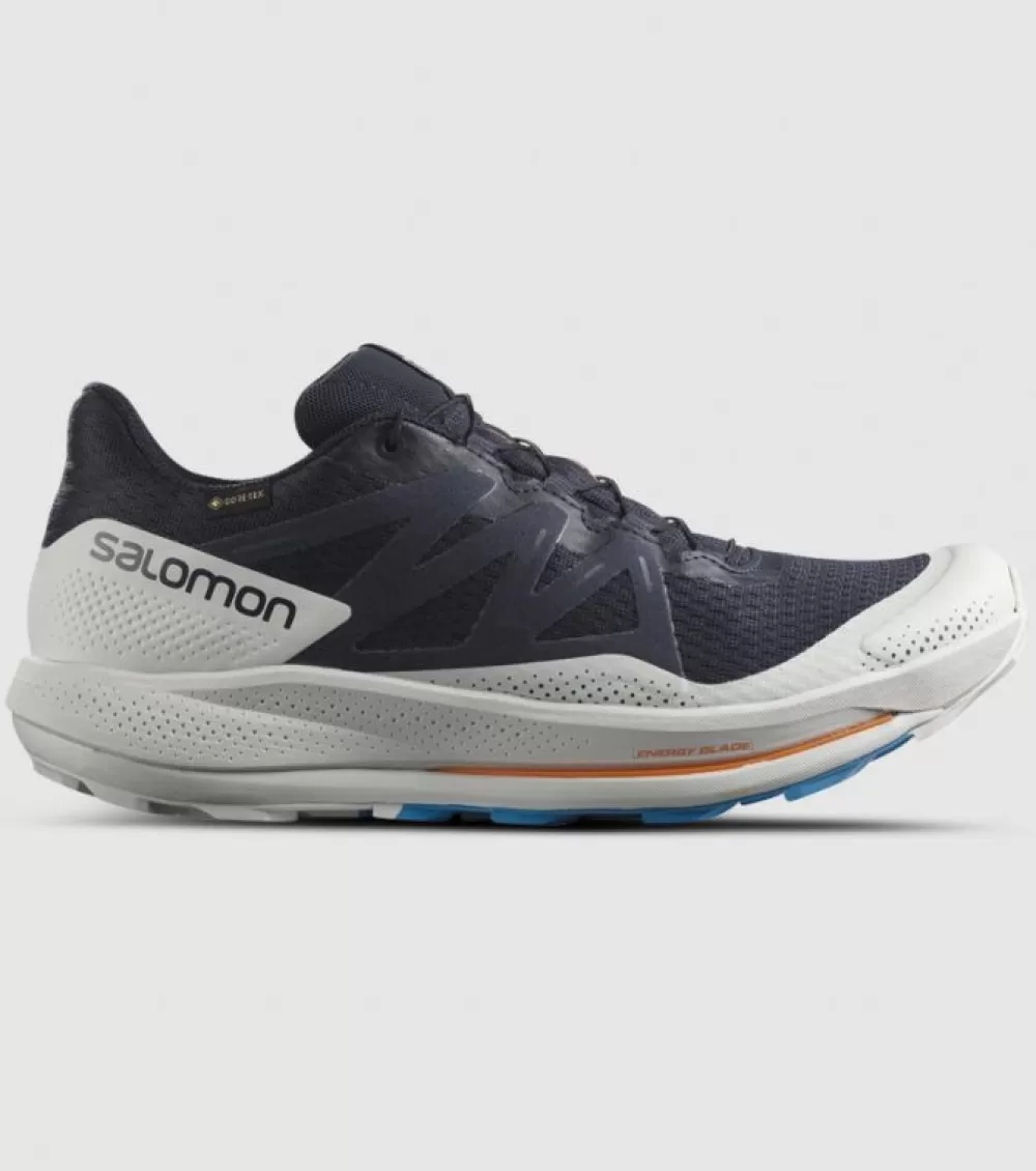 Best Salomon Pulsar Gore-Tex Mens Night Sky Lunar Rock Indigo Bunting